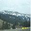 picture_271.jpg