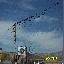 the_birds.jpg